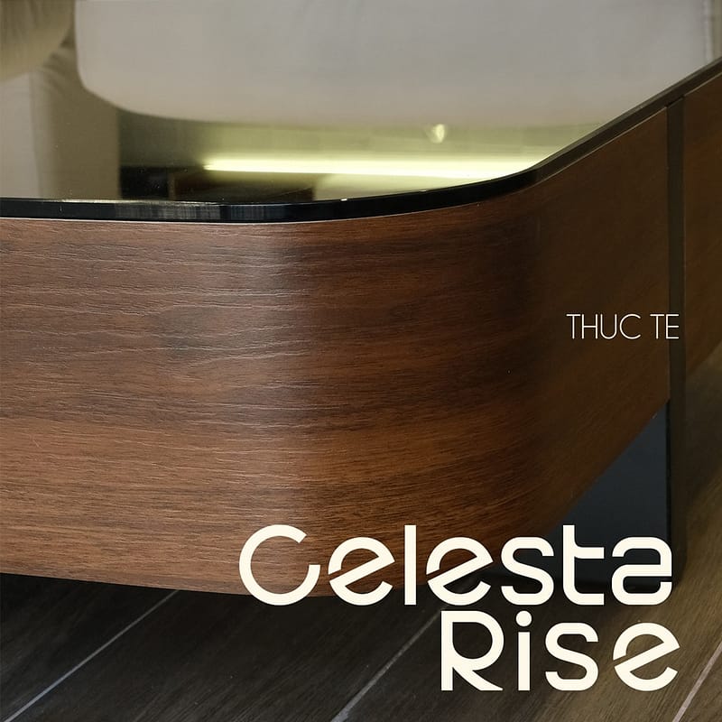 Hoàn thiện nội thất căn hộ Celesta Rise - Keppel Land